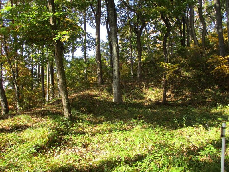 File:Wakatsukiyamajou (16).jpg