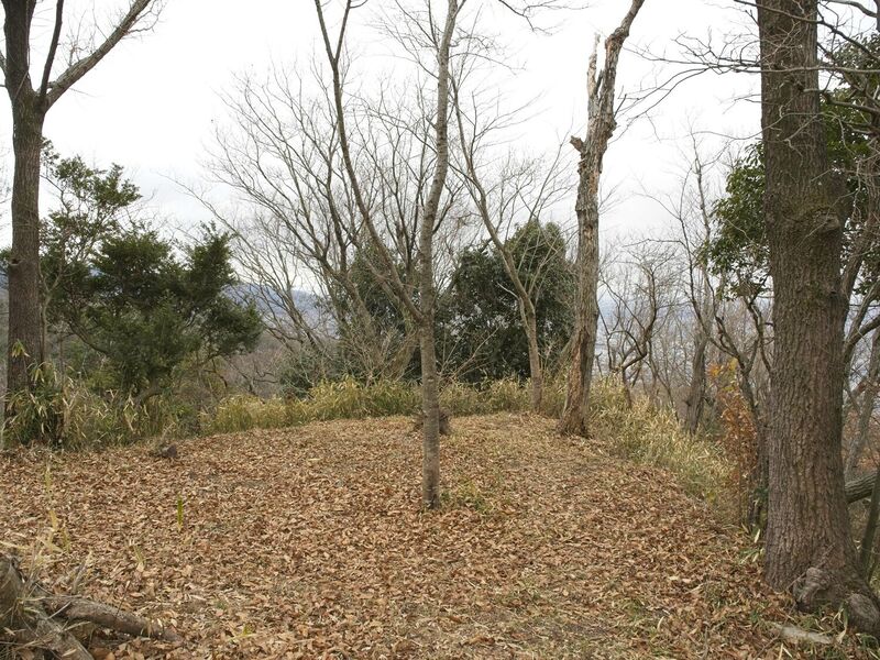 File:Iimori8.jpg