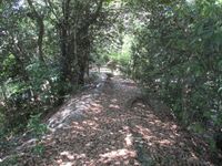 Kanbejou (7).jpg