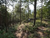 Kannosankyoto35.jpg
