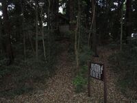 MikawaMorijou (11).jpg