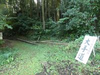 Sadowarajô (14).JPG