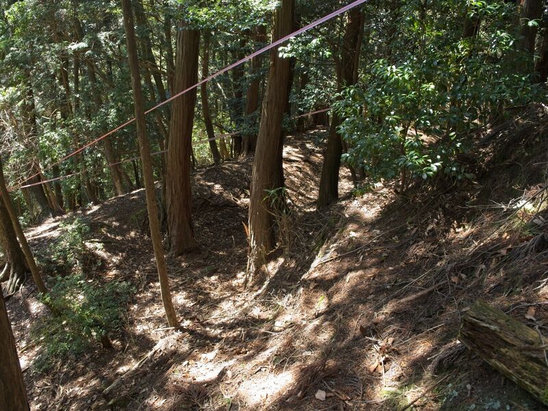 File:Takaokoka11.jpg