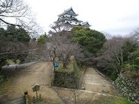 Wakayama23.jpg
