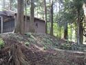 HoujiinDoi (5).JPG