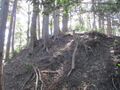 Thumbnail for version as of 19:23, 15 August 2024