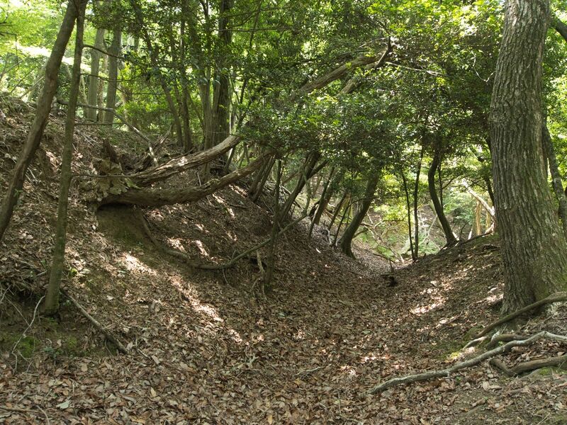 File:Nyoigatake13.jpg
