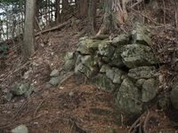 Tsubokasayama18.jpg