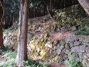 AnrakujiYakata (3).JPG