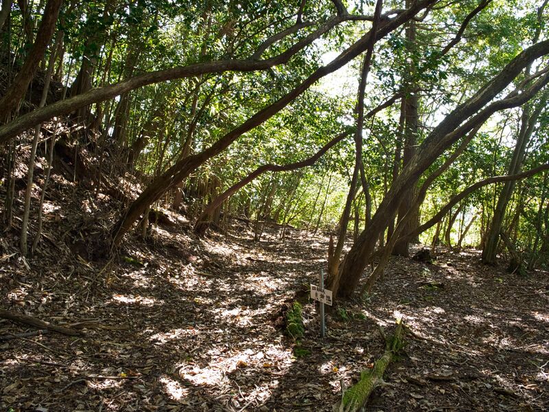 File:Higashigoma14.jpg