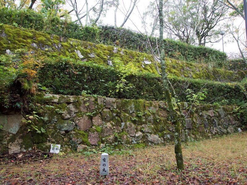 File:Kamei45.jpg