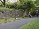 Kanazawa61b.jpg