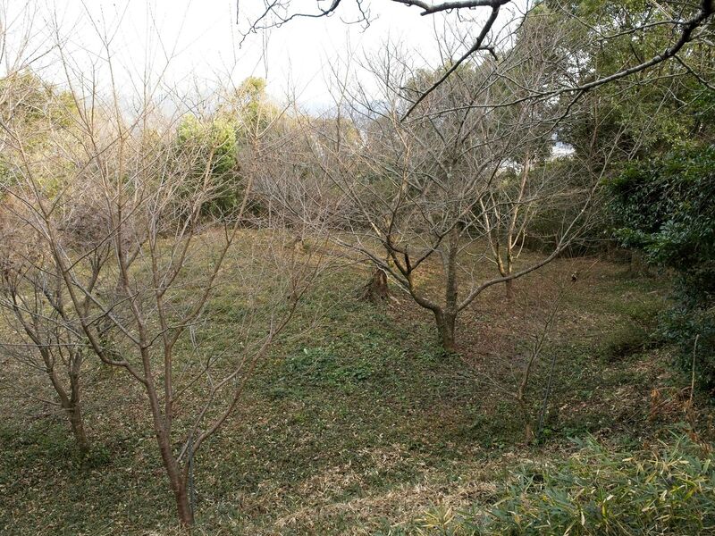 File:Kiikameyama14.jpg