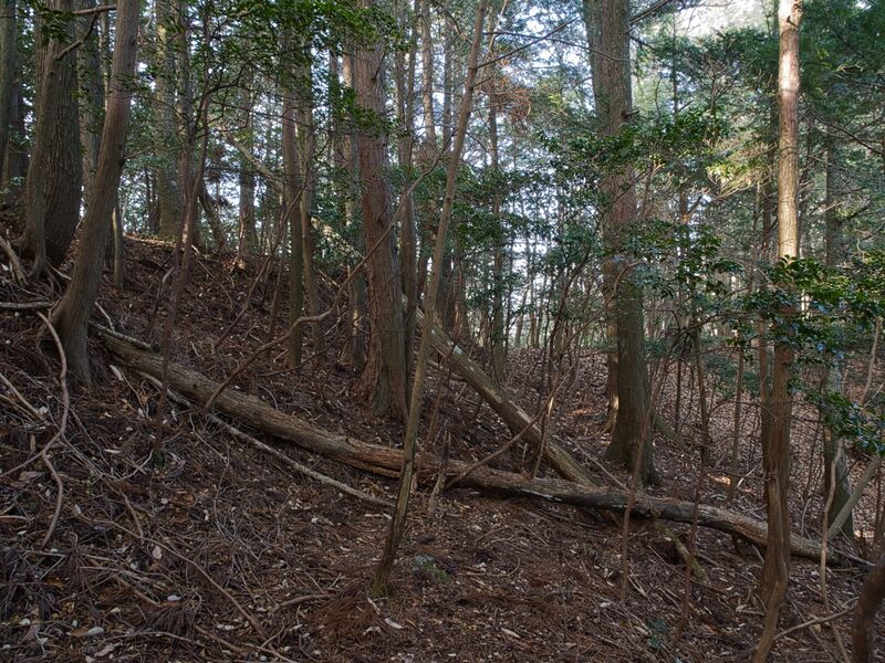 File:Shizuharanorth23.jpg