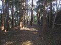Thumbnail for version as of 20:31, 21 April 2024