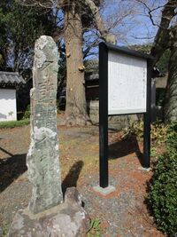 TohtoumiIidakojou006.jpg