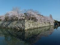 Tokushima14.jpg