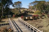 Yamanaka16.jpg