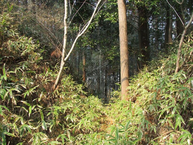 File:Akechijou009.jpg