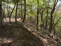 Besshoyama18.jpg