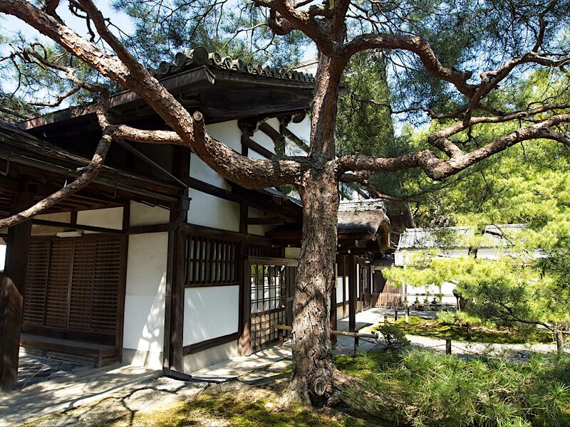 File:Fushimikonchiin3.jpg