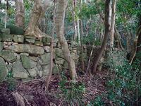 Hagicastle13.jpg