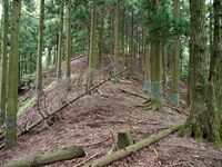 Kumagawadejiro3.jpg
