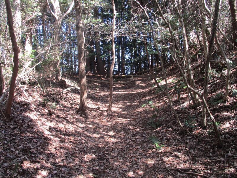 File:NukataChausuyamajou (2).jpg