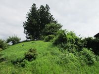 AzumiHorinouchiYakata (1).JPG