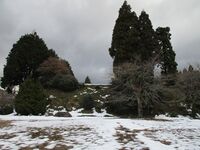 Hikidajou (6).JPG