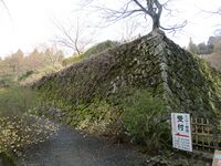 HyakusaijijouB03.JPG