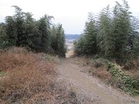 Kōzuke-Niiyajō02.JPG
