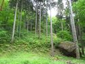 Koiwatakejou (3).JPG