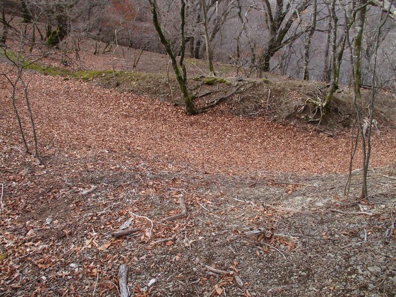 File:MisakajouB (14).jpg