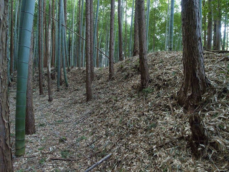 File:Mochizukikoka26.jpg