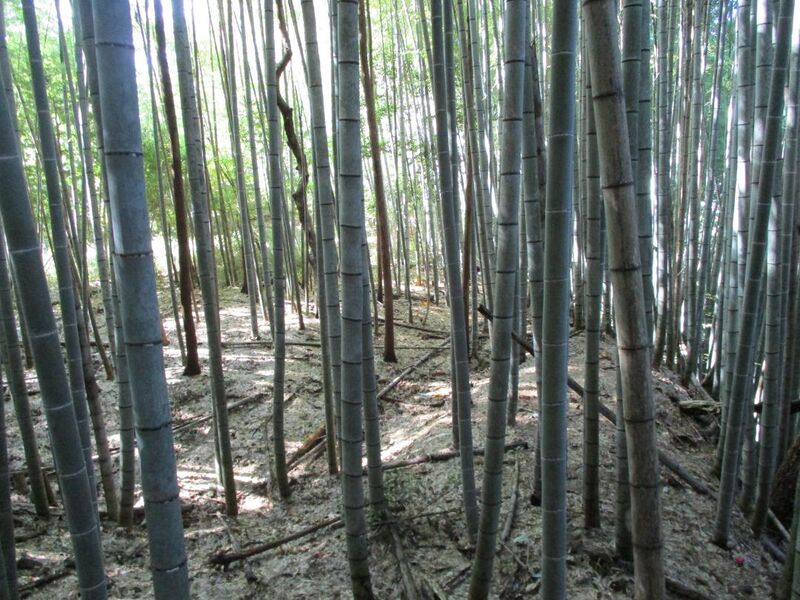 File:NukataTashirojou004.jpg