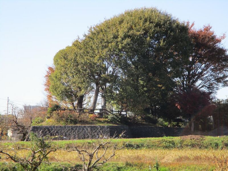File:Oshikamojou (1).jpg