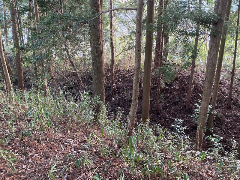 File:SakuraborajouChris (1).jpg