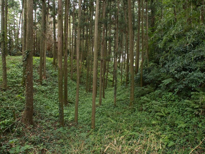 File:Shiroi8.jpg