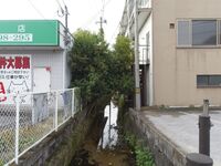 Sotoborihikone2.jpg