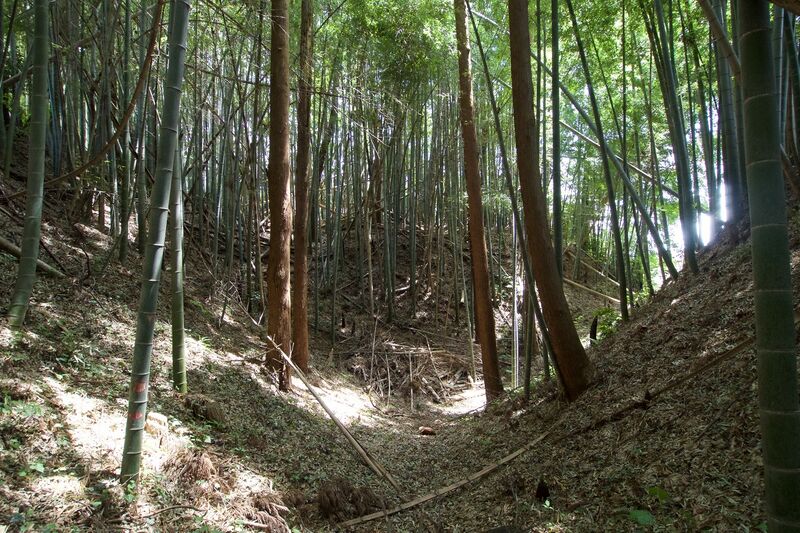 File:Ushiku15.jpg