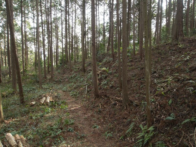 File:Wadakoka11.jpg
