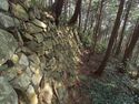 Azuchi east50.jpg