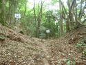 BingoKouyamajou (3).JPG