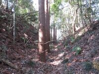 Choujayamajou (14).JPG