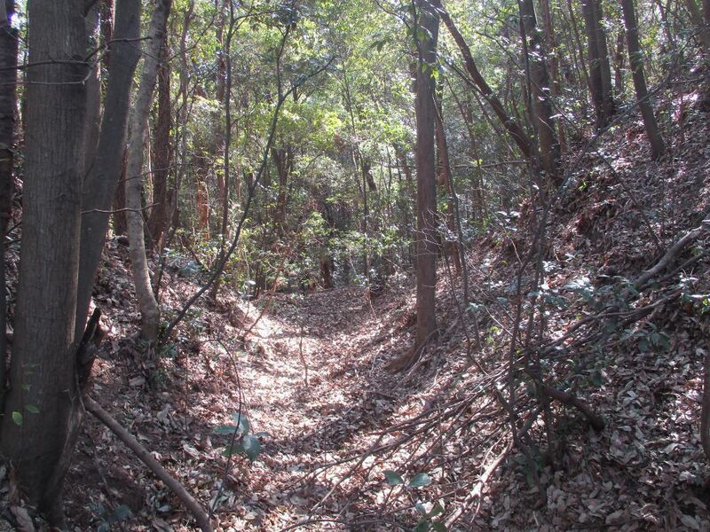 File:Daitajou (11).jpg