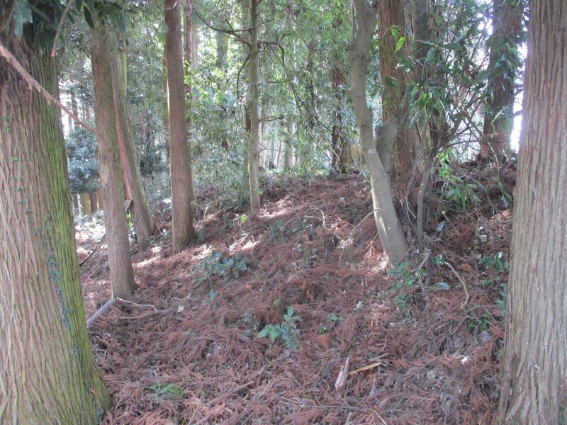 File:FuwaSeki (37).jpg