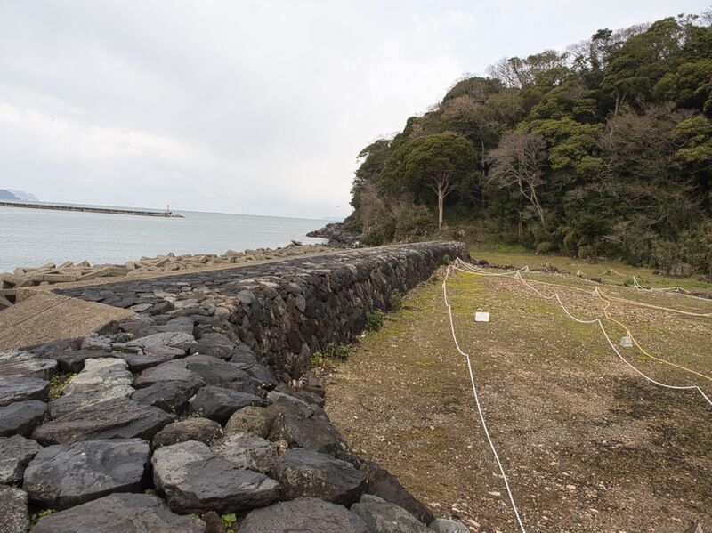 File:Hagiebisugahana4.jpg