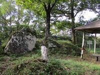 Hikijou (4).JPG