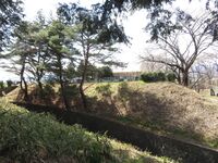 InaMinowajou (9).JPG